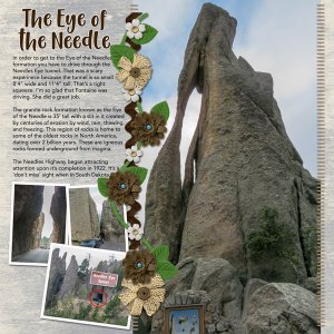 Eye of the Needle