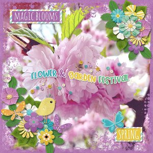 Magic Blooms