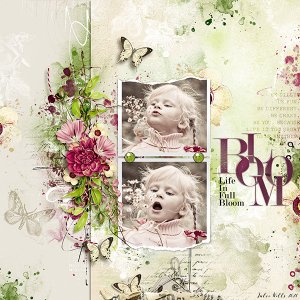 bloom