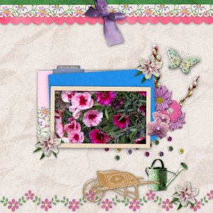 MBDD_MSpG_Apr02