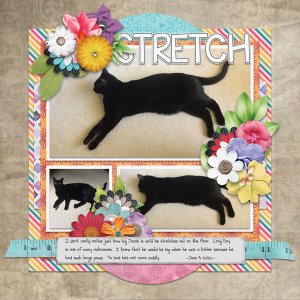 Stretch
