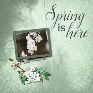 Spring DownUnder
