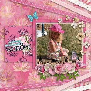Sense of Wonder