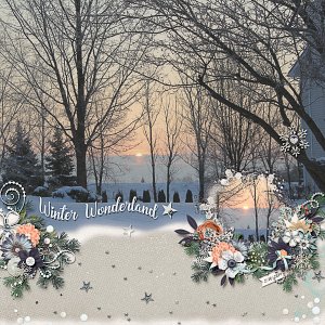 Glorious Winter Sunset