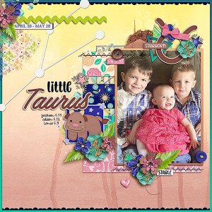 Little Taurus