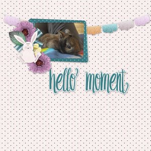 Hello Moment