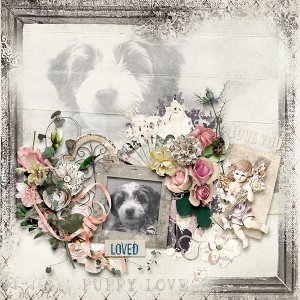 Puppy Love