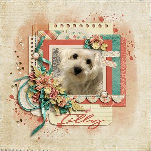 Sweet Tilly