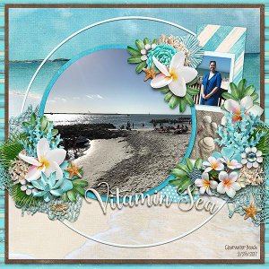 clearwater beach - week 4 survivor
