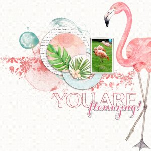 You Are Flamazing!