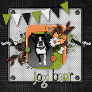 Jogi Bear