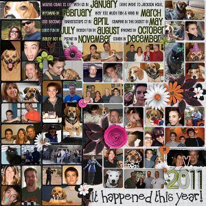 2011 - this year