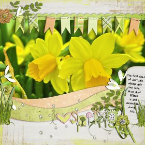 spring