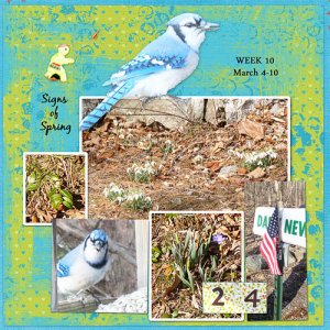 Week 10