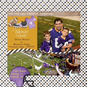 Vikings Fever