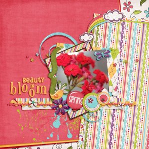 Bloom
