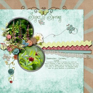 Signs of Spring