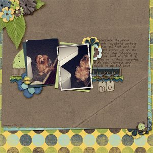 045-03-12-FeedMeByCFALBRO