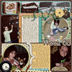 Weel 08 (February 19 -25)