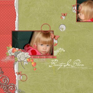 Dani - A Beauty In Bloom