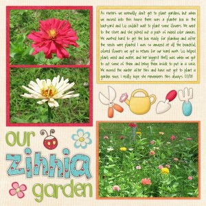 Our Zinnia Garden