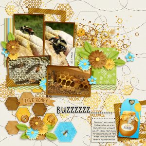 Winterizing the hive