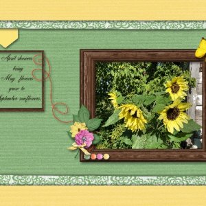 Sunflowers