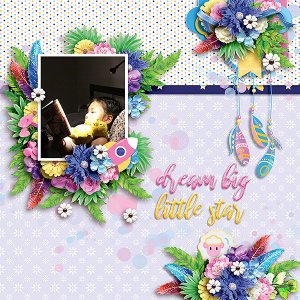 Dram Big Little Star