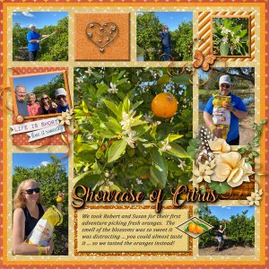 Showcase of Citrus