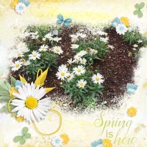 Spring is here