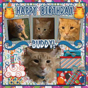 Happy Birthday Buddy!