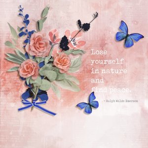 Find peace
