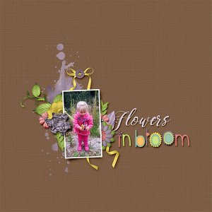 Flowers in Bloom