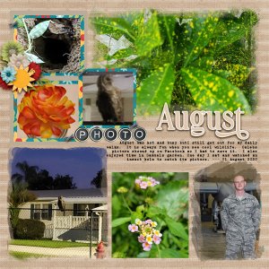 August Wrap Up 2020