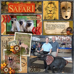 Safari