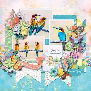 Spring birds