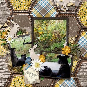 Stacked and Stitched Template Set