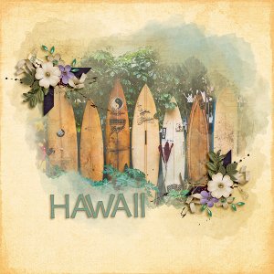 Vintage Hawaii