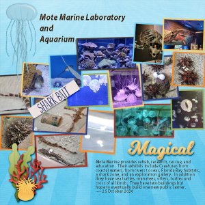 Mote Marine