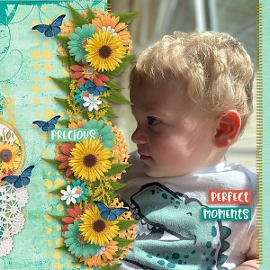 Perfect Moments 2