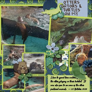 Otters, Gators, and Turtles - Mote Marine