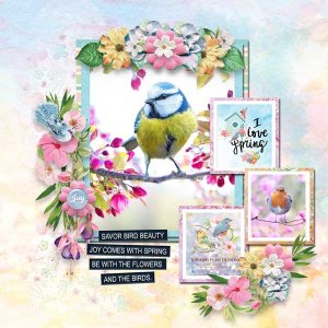 Spring birds
