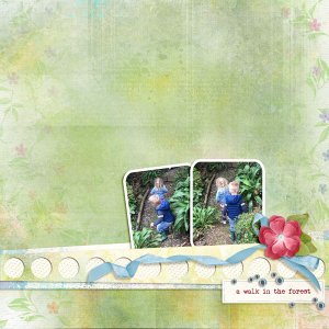 Forest Walk