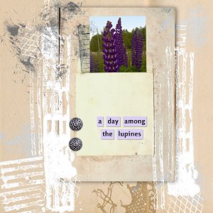 Lupines