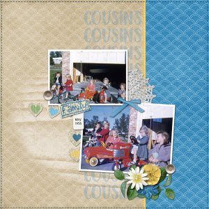 Cousins