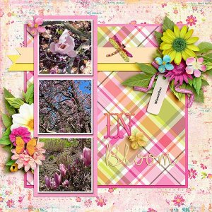 inbloom