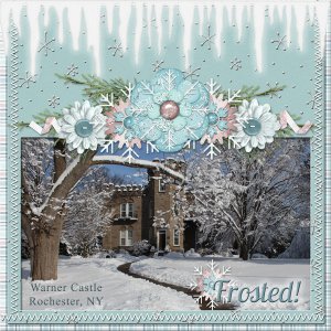 Warner Castle - Frosted!