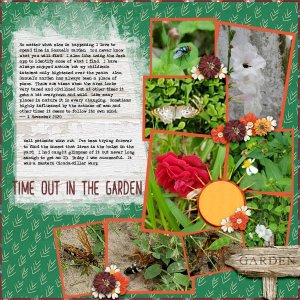 Time Out in the Garden
