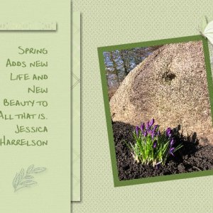 Spring adds New Life