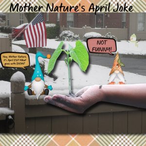 Mother Nature